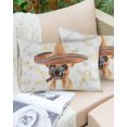 thumbnail image 6 of Outdoor Throw Pillow Cover Watercolor Cute Chihuahua Dog Animals Cowboy Hat Waterproof Cushion Covers 2 Pack Marble Stone Texture Pillow Cases Home Decoration for Patio Garden Couch Sofa, 6 of 6