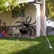 thumbnail image 4 of Globos gigantes de araña negra, globos de aluminio, decoración de fiesta de Halloween, suministros de cumpleaños de terror, feliz, 1 unidad, 4 of 4