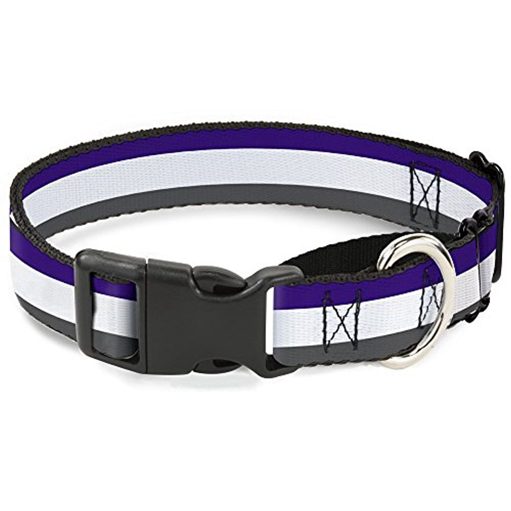 Buckle-Down "Stripes" Martingale Dog Collar