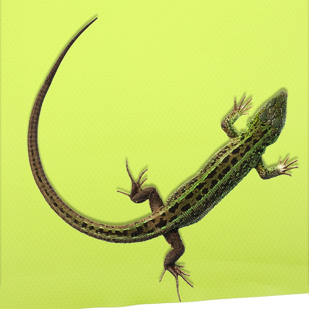 MOKKHNB Soft Light Green EVA Reptile Mat for Substrate Carpet Protects Glass Terrarium Container