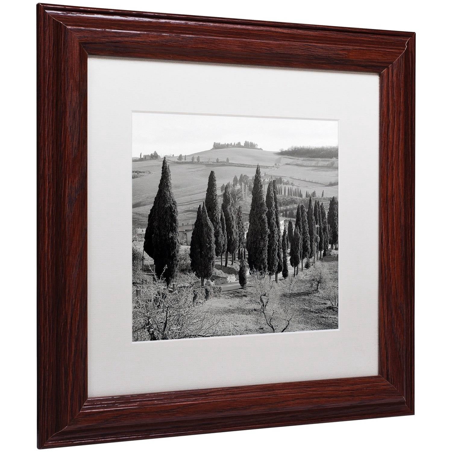 Trademark Fine Art "Tuscany IV" Canvas Art by Alan Blaustein, White Matte, Wood Frame