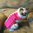 thumbnail image 2 of Midlee Argyle Dog Sweater (Large, Pink), 2 of 2
