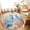 Orange, variant on Area Rugs 5'x7', Blue Red Seahorse Coastal Carpet Runner Indoor Outdoor Rugs Home Decor Aesthetic, Summer Beach Coral Nautical Wood Non Slip Mats Washable Accent Rug for Living Room Bedroom