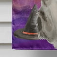 thumbnail image 4 of Ragamuffin Halloween Flag Canvas House Size, 4 of 4