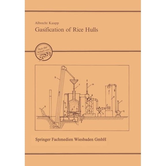 Gasification of Rice Hulls: Theory and PRAXIS, (Paperback)