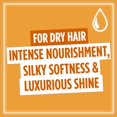 thumbnail image 3 of Aceite nutritivo para el cabello L'Oreal Paris Elvive Extraordinary 100 ml, 3 of 3