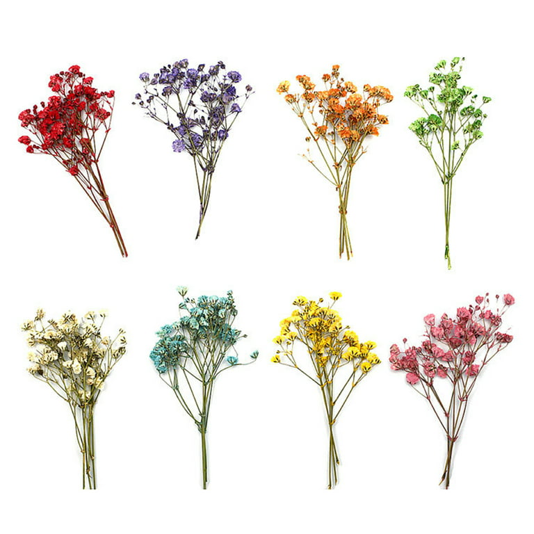 Farfi 12Pcs Dried Flower Bouquets Natural Long Lasting Realistic Colorful  Dried Gypsophila Flower for Wedding (Sky Blue) 