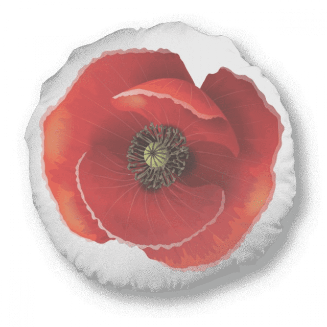 Red Flower Painting Big Corn Round Throw Pillow Home Decoration Cushion
