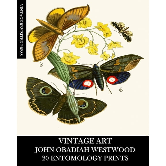 Vintage Art: John Obadiah Westwood 20 Entomology Prints: Fauna and Flora Ephemera for Framing, Collage and Decoupage, (Paperback)