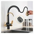 thumbnail image 3 of Black And Golden Filtered Crane For Kitchen Pull Out Sprayer Drinking Water Three Ways Water Filter Tap Kitchen Faucet Hot Cold ,Effortless Installation, 3 of 7