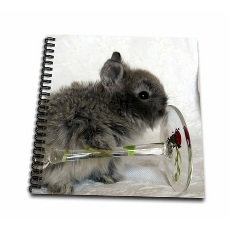 Glass Bunny - 3dRose Lionhead Bunny and Wine Glass - Mini Notepad, 4 by 4-inch