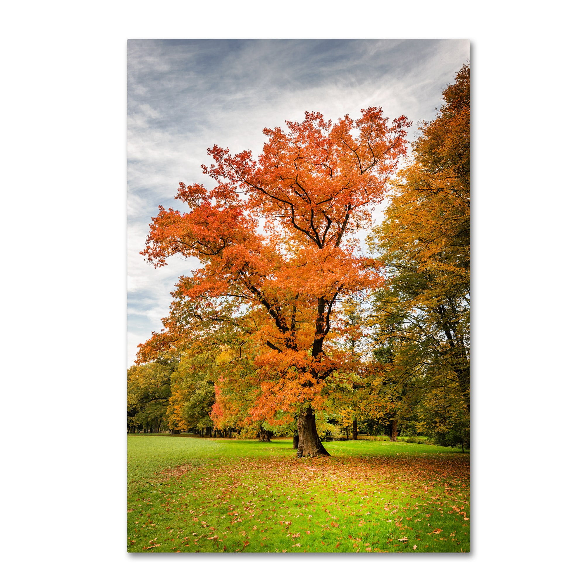 Trademark Fine Art "Burning Desire" Canvas Art by Philippe Sainte-Laudy