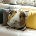 thumbnail image 3 of ZFLMY Decor Holiday Pillow Case Guinea Pig Blanket Wall for Home Sofa Couch Linen 100% - Set of 1 Pillow Covers 24x24in, 3 of 5