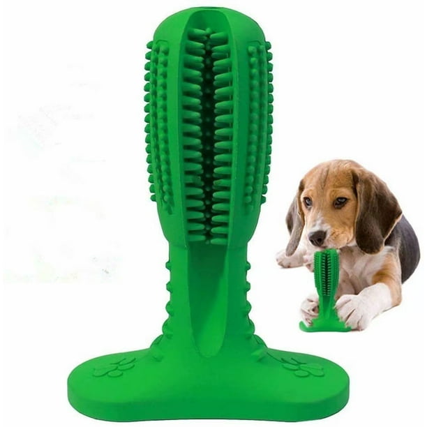 Dog chew outlet brush