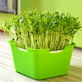 thumbnail image 4 of Wuztai Hydroponic Sprout Tray, Germination Box with Lid for Growing Seeds, Indoor Gardening Kit, 4 of 4