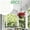 Gold_Hot#77, variant on Rust Resistant Iron Hanging Chains with S Hooks for Plants and Outdoor Garden Decor Adjustable Length Supports Heavy Planters and Bird Feeders