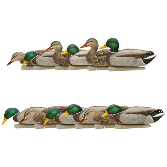 Avian X Topflight Fusion Mallards and Topflight Backwater Mallards Decoys
