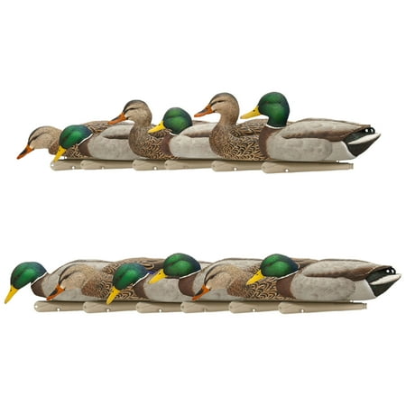 Avian X Topflight Fusion Mallards and Topflight Backwater Mallards Decoys