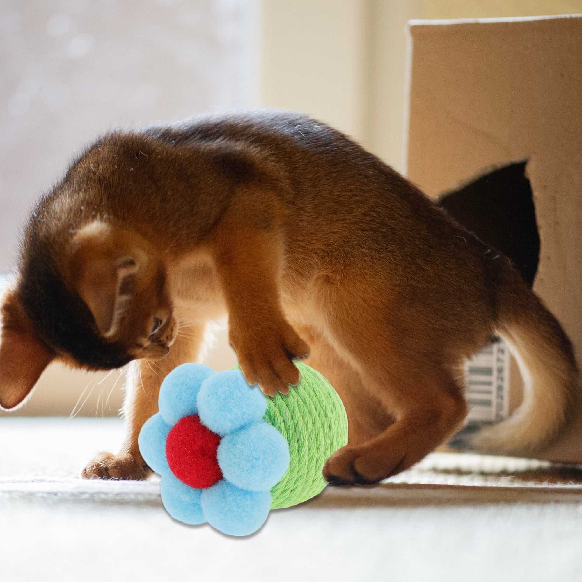 Unique Bargains Safe Teeth Cleaning Chew Balls Green