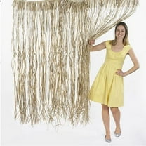Natural Raffia Door Curtain - Party Decor - 1 Piece