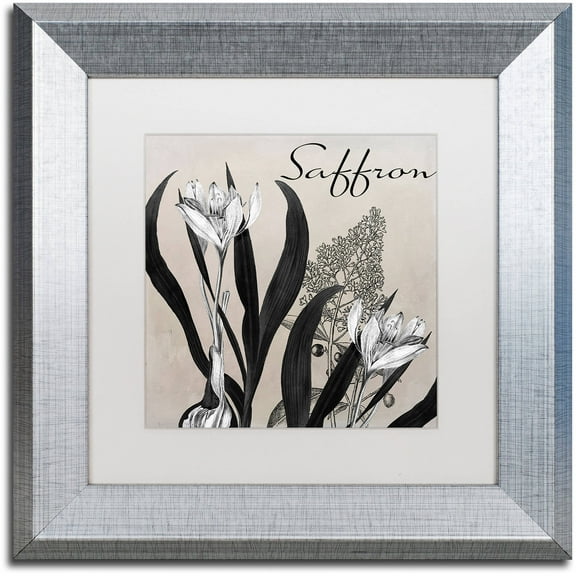 Trademark Fine Art "Flowering Herbs I" Canvas Art by Color Bakery White Matte, Silver Frame