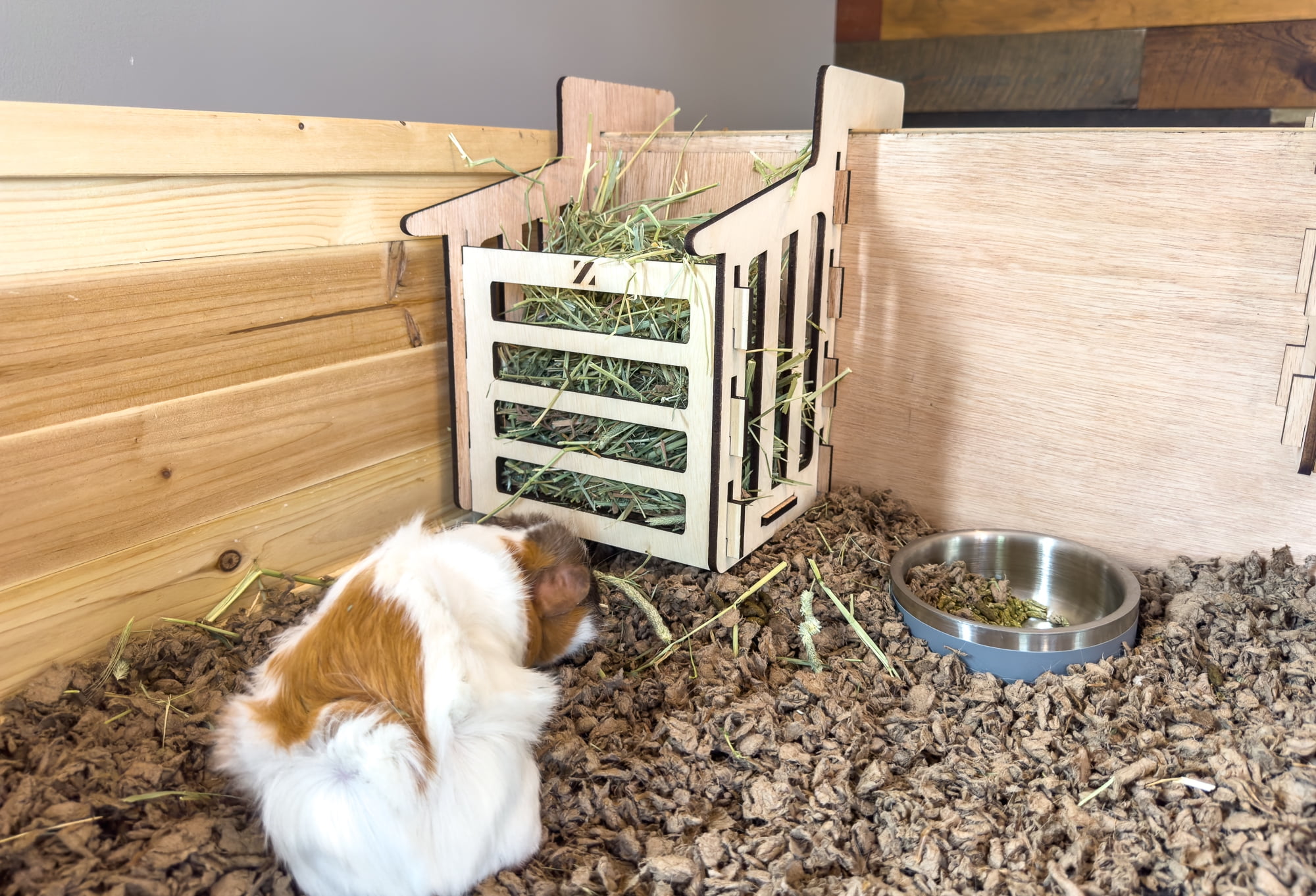 Zylina XL Healthy Habitat for Guinea Pigs