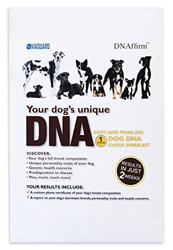 DNAffirm Dog Breed DNA Test - Easy and 