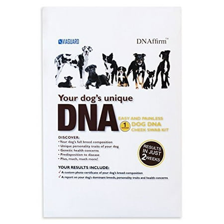 DNAffirm Dog Breed DNA Test - Easy and Painless Dog DNA Cheek Swab DNA Test (Best Dog Dna Test)