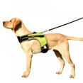 thumbnail image 1 of Dog Harness No Pull  Walking Pet Harness with 2 Metal Rings and Handle Adjustable Reflective Breathable Oxford Soft Vest Easy Control Front Clip Harness Outdoor for X-Large Dogs, 1 of 8