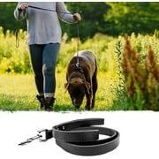 Mighty Paw Leather Dog Leash, 5 ft Leash Super Soft Distressed Leather, Modern Stylish Lead. For Small, Medium and Large Pets