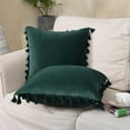 thumbnail image 2 of 2 Pcs Velvet Throw Pillow Case with Tassels, Boho Throw Pillow Cover Decor Cushion Covers, 2 of 8