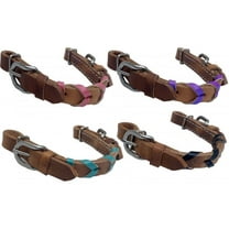 Showman Argentina Cow Leather Braided Color Curb Strap