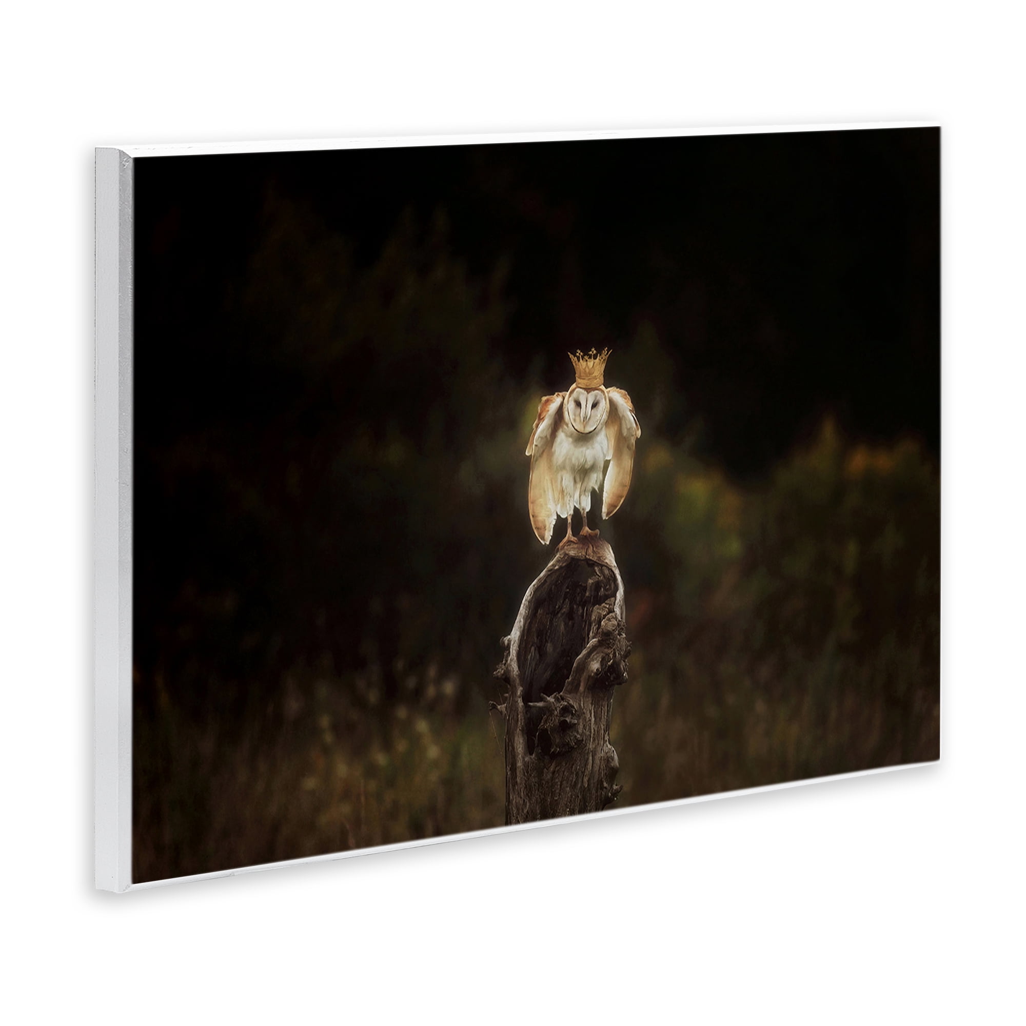 Stupell Industries Crowned Owl Perched Animals & Insects Photography Unframed Art Print Wall Art, 19 x 13