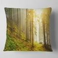 thumbnail image 2 of Designart Sun Finds its Way in Forest - Landscape Photography Throw Pillow - 16x16, 2 of 5