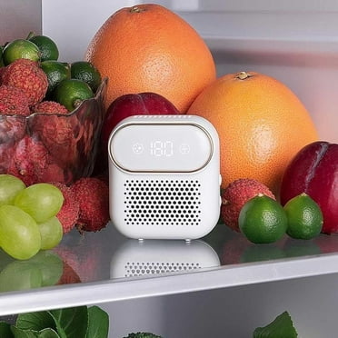 Sterilizer and Deodorizer for Refrigerator