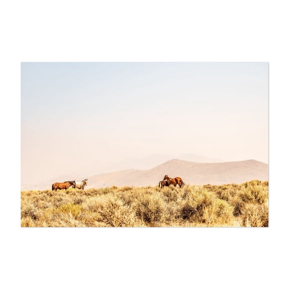 wild horses in Nevada desert - Carson City Nevada Photography Desert Wildlife Horse Nature Landscape Rural Scenic Unframed Wall Art Print 4 x 6 inches