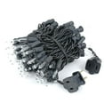 thumbnail image 3 of Novelty Lights Clear 100 Light Incandescent Mini Christmas String Lights, Black Wire, 22 Feet, 3 of 5