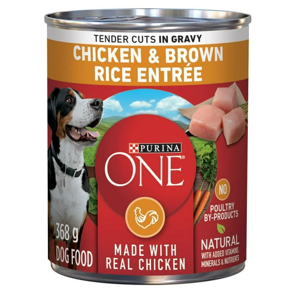 Purina ONE Tender Cuts in Gravy Chicken & Brown Rice Entrée, Wet Dog Food 368 g