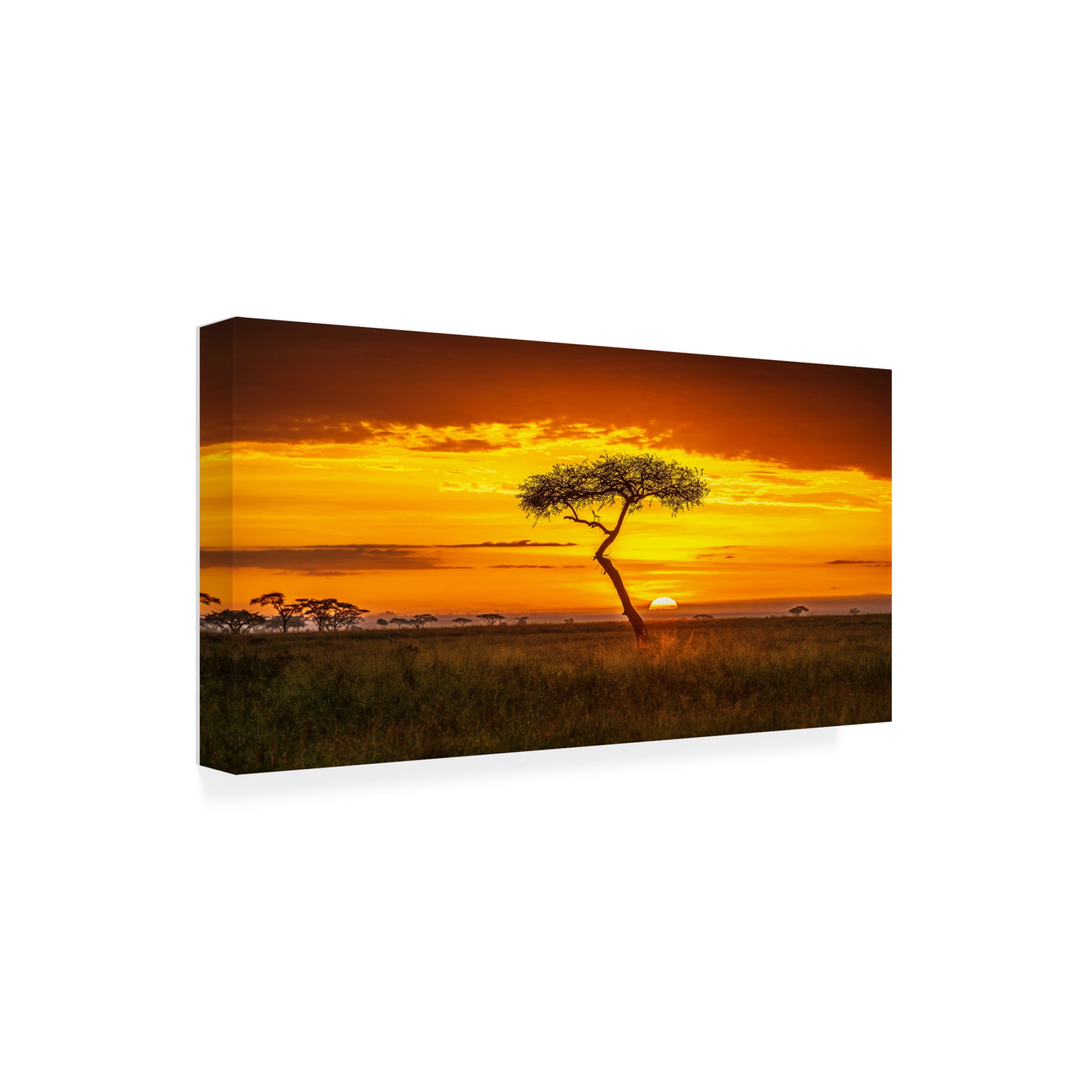 Canvas Wall Art - Jeffrey C. Sink 'Primordial Africa' Wall Art for Living Room, Bedroom, or Office Décor by Trademark Fine Art - 32 x 16 Inches