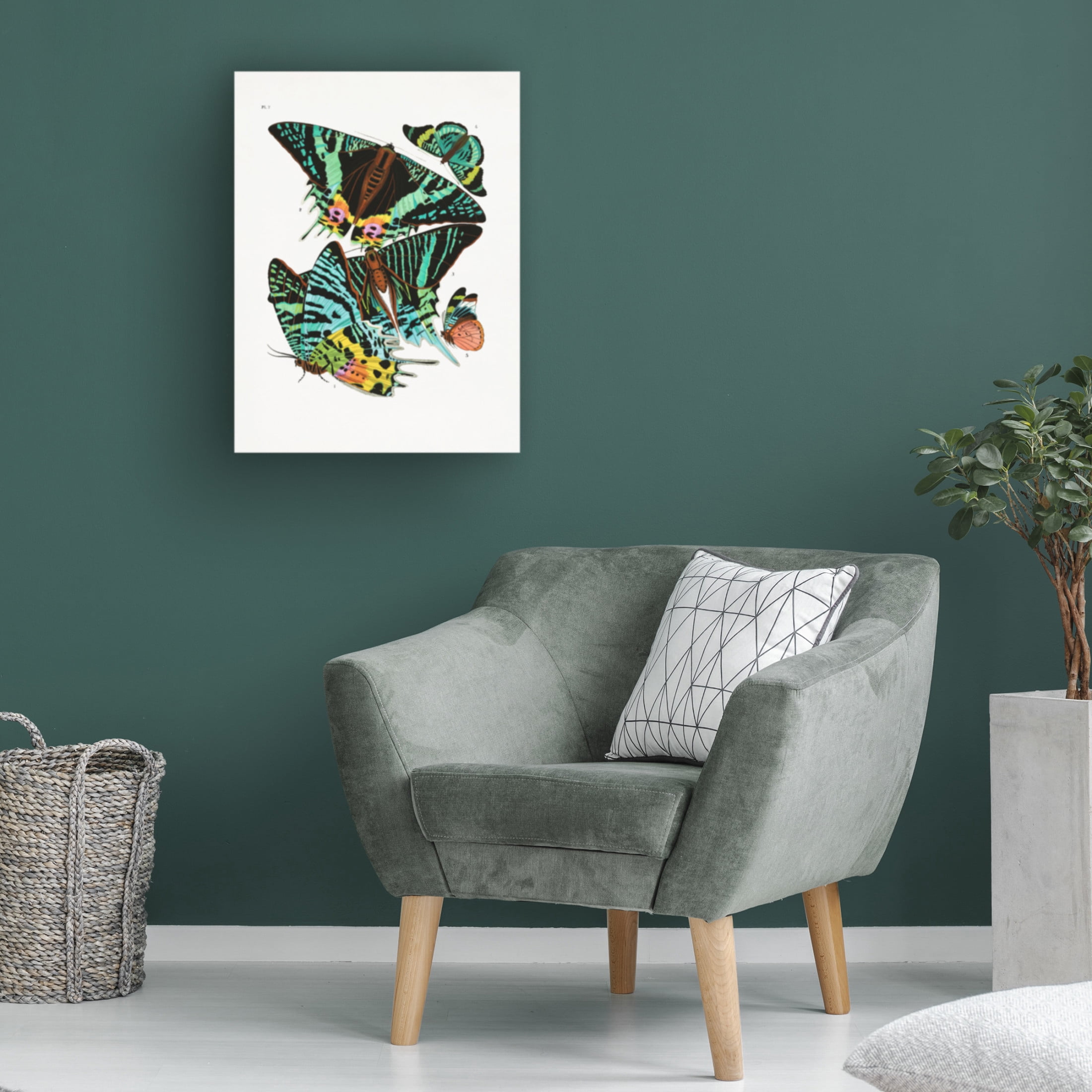 Trademark Fine Art Pictufy Butterflies 3 Canvas Wall Art