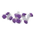 thumbnail image 1 of Xihbxyly Juego de Horquillas de Rosas, Mini Pinzas de Colores, Accesorios de Plástico Duraderos para El Cabello, Solución de Peinado Segura, Uso Diario, Ideal Como Regalo para Mujeres, Paquete Variad, 1 of 2