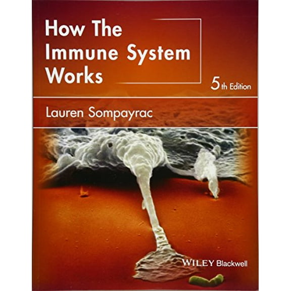 Pre-Owned How the Immune System Works (The How it Works Series) Paperback
