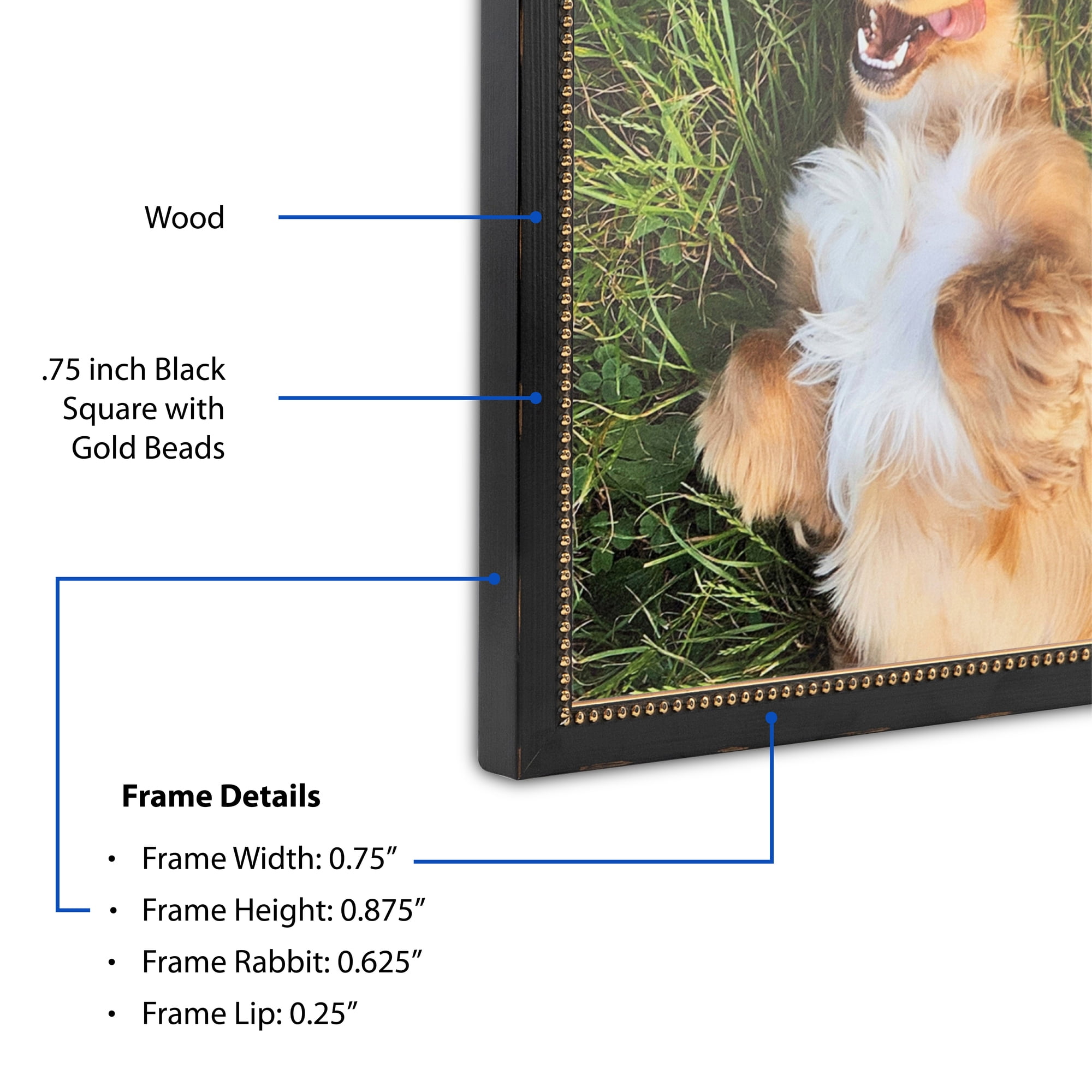 ArtToFrames 20" x 20" Black Square with Gold Beads Picture Frame, 20x20 inch Black Wood Poster Frame (WOM-5021),  Pack