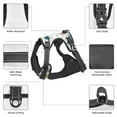 thumbnail image 6 of Daiia Cute Dinosaursdog Harness, No-Pull Pet Harnessith 2 Leash Clips,Cat Harness And Leash Set,Step In Dog Harness, For Large Dogs,No Accessories Included, 6 of 8