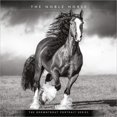 thumbnail image 1 of Calendario: Horse, The Noble, The Browntrout Portrait Series 2026 Square Flap, 1 of 3