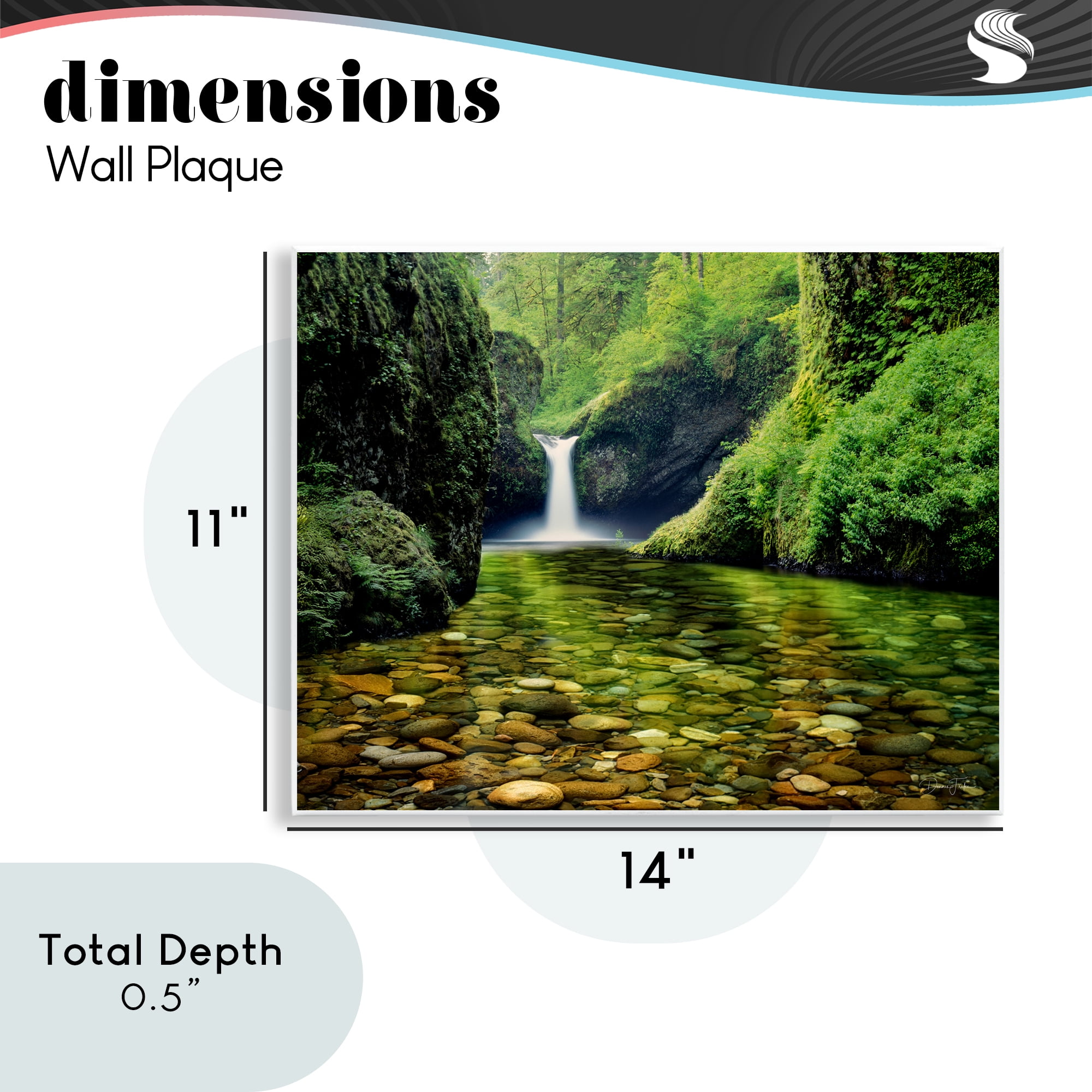 Stupell Industries Punchbowl Falls in Emerald Forest Wall Plaque Art, design by Dennis Frates