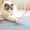 Pink, variant on Interactive Cat Teaser Retractable, Cat Toys Indoor Kitten Play Chase Exercise Physical Stimulation Home Hanging Colored Kitty Toy With Bells Hanging On The Door