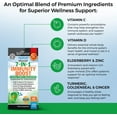 thumbnail image 2 of BioSchwartz 7-in-1 Immune Support Supplement with Zinc, Vitamin C, D & Elderberry, 120 Capsules, 2 of 10