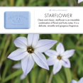 thumbnail image 5 of Pre de Provence Savon Starflower 8.8oz, 5 of 5