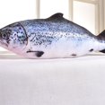 thumbnail image 4 of Almohada de peluche OPHRBU Simulation Fish de 60 cm para gatos o niños, 4 of 5